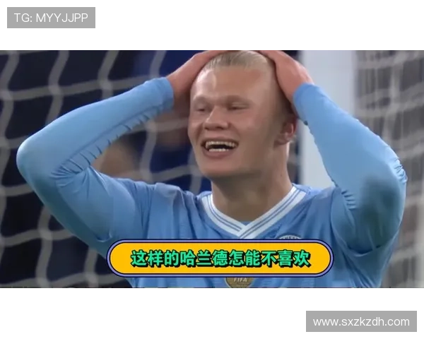 哈兰德英超金靴