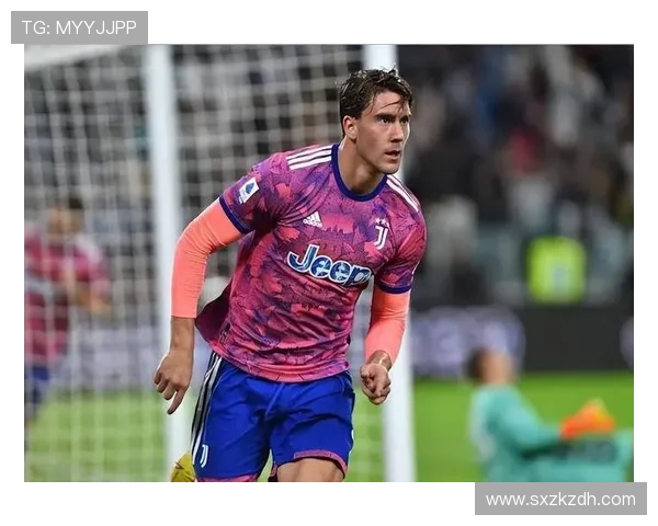 弗拉霍维奇：从新星到核心中锋的荣誉与责任